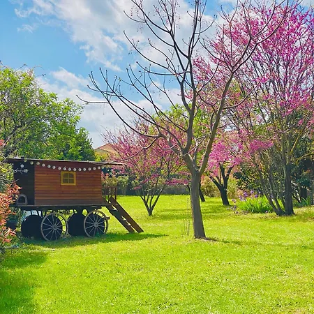 Tiny House Avec Jacuzzi Prive - Calme Et Nature Vakantiehuis Grabels